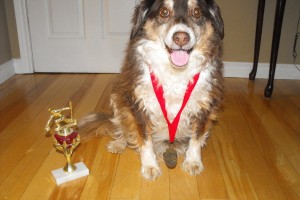 my award winning puppy by chcarey-d3fnj83